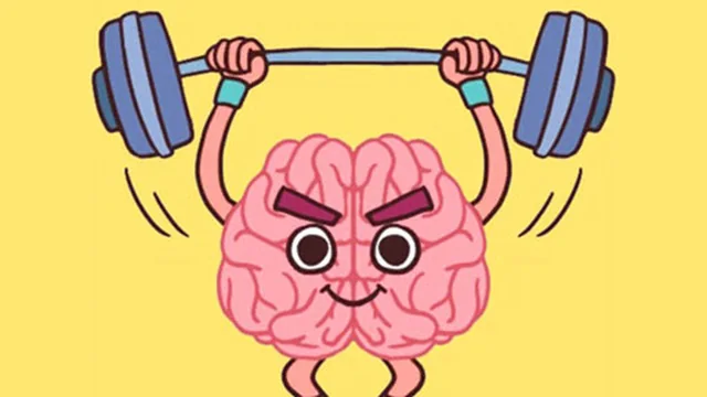 Perfect Brain 3D Puzzle
