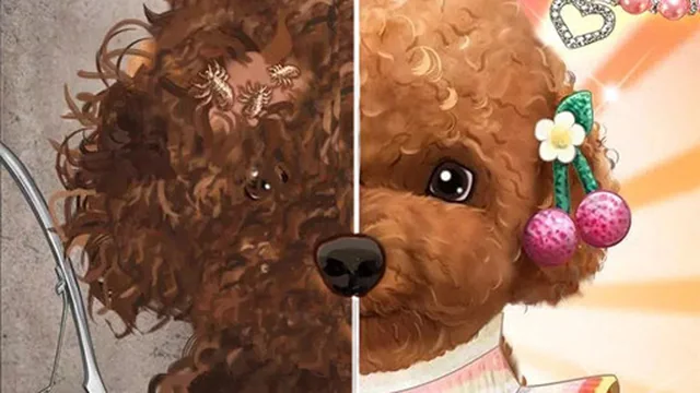 Pet Makeup Master