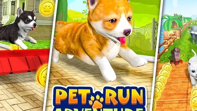Pet Run Adventure Puppy Run