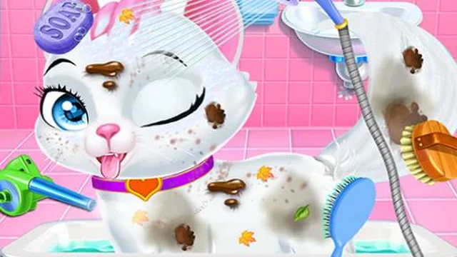 Pet Vet Care Wash Feed Animals - Animal Doctor Fun