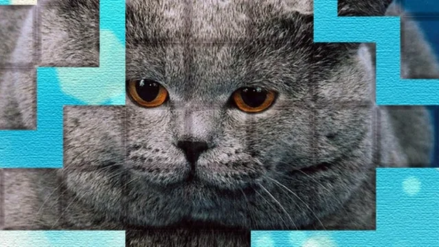 PicPu - Cat Puzzle