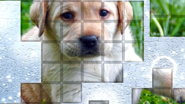 PicPu Dog