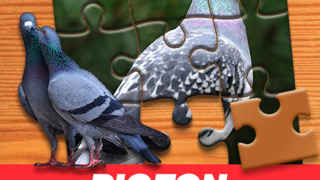 Pigeon Jigsaw Puzzle