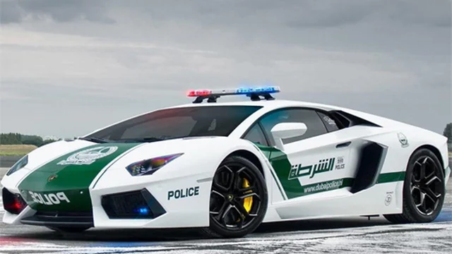 Police Cars Jigsaw Puzzle