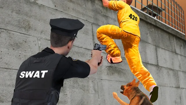 Prison Survive Break Escape