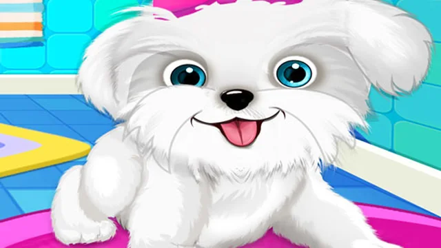 Puppy: Pet Salon & Dog Daycare