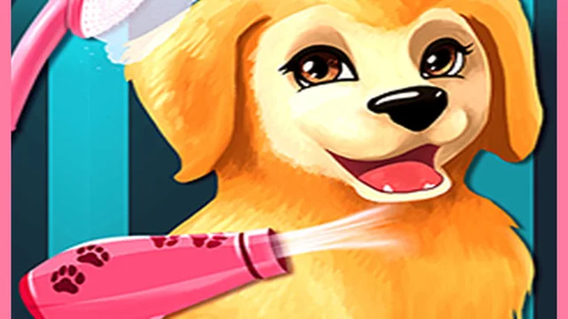 Puppy