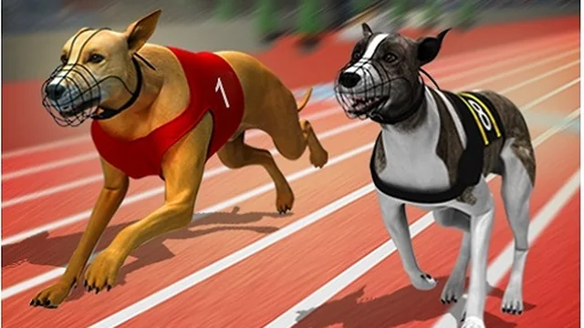 Racing Dog Simulator : Crazy Dog Racing Games