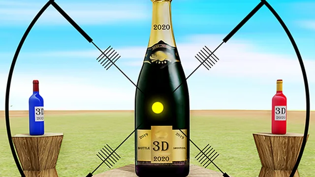 Real Bottle Shooting Game 2020