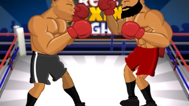 Real Boxing Fight