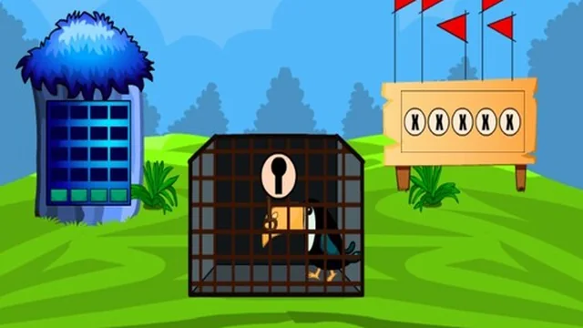 Rescue The Toucan