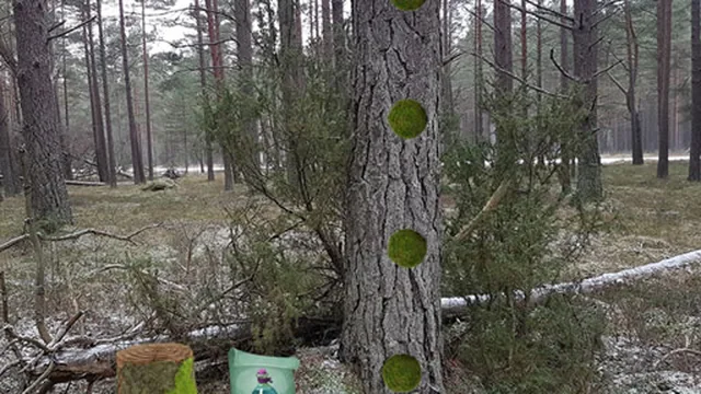 Return To The Frozen Forest