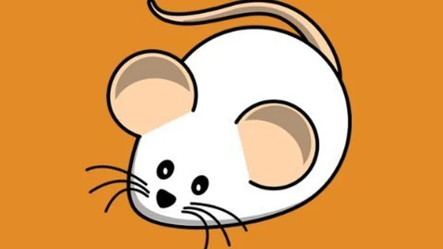 Rodent Whack