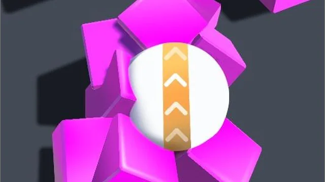 Roller Magnet 3D