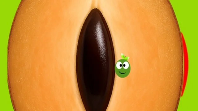 SapotaGo
