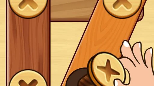 Screw Nuts Bolts: Wood Solve