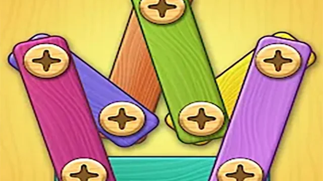 Screw Puzzle   DIY