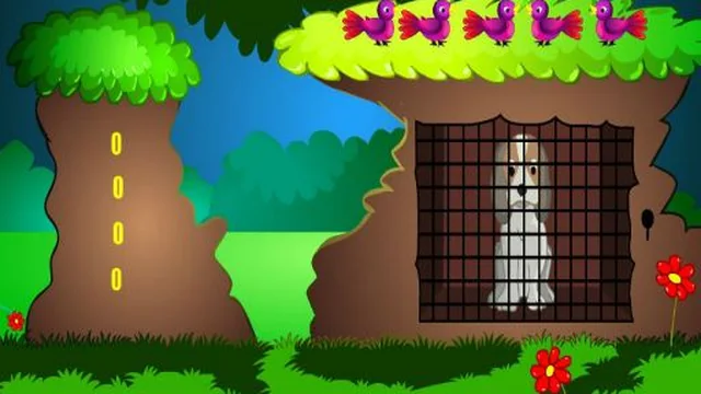 Senior Dog Escape