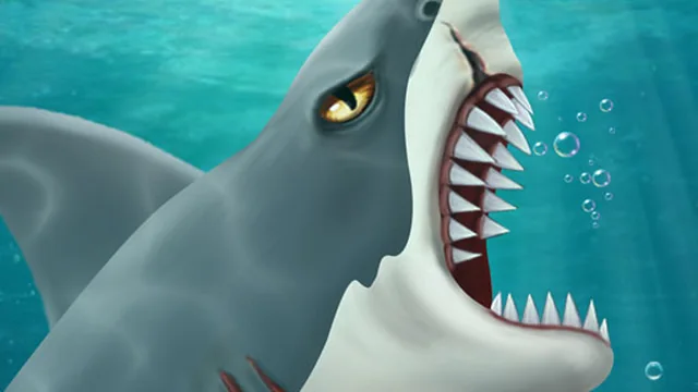Shark Attack-Casual