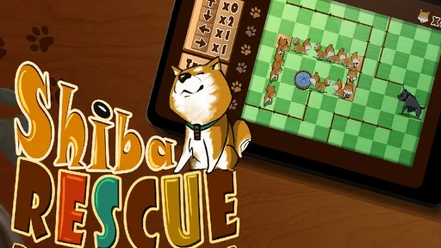 Shiba Rescue : Dogs and Puppies