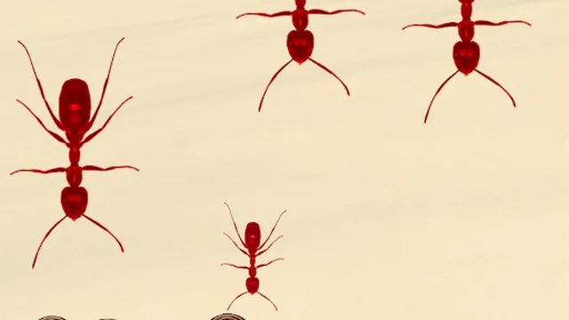Smash All Ants