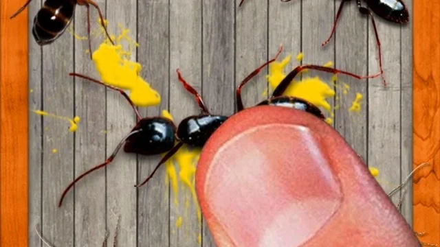 smash the insectt game thumbnail