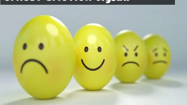 Smiley Emotion Jigsaw