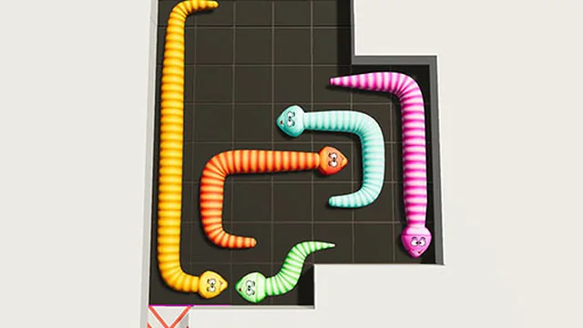 Snake Puzzle