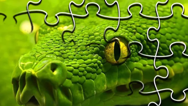 Snakes Jigsaw Puzzle