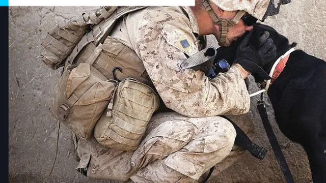Soldier Dog Jigsaw