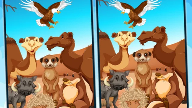 Spot 5 Differences Deserts