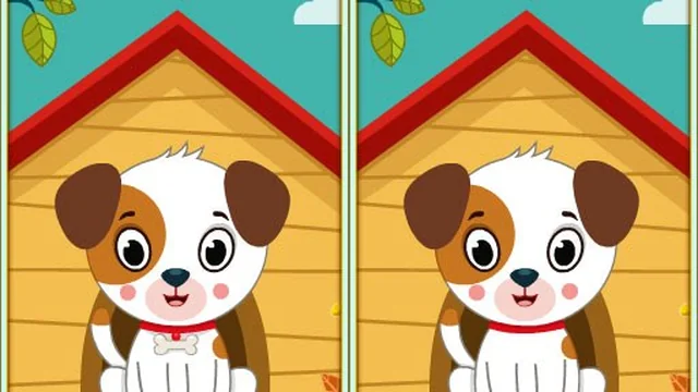 Spot 5 Differences