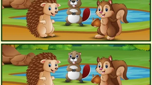 Spot The Differences Forests