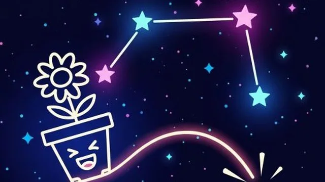 Stellar Connections