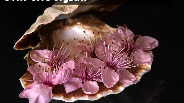 Still Life Jigsaw