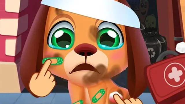 Stray Puppy Pet Care
