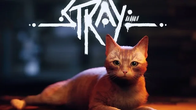 Stray