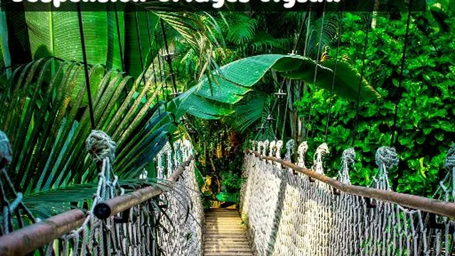 Suspension Bridges Jigsaw game thumbnail