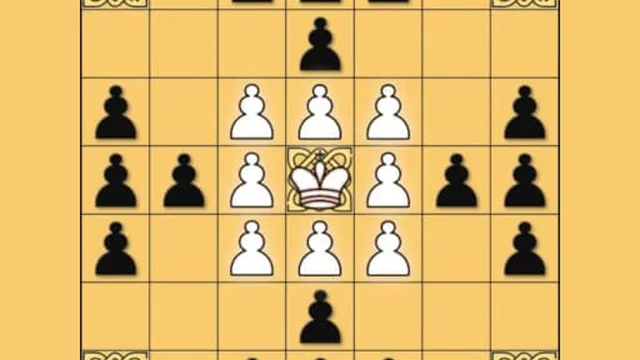 Tafl: viking chess
