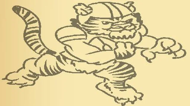 Tiger Coloring Book
