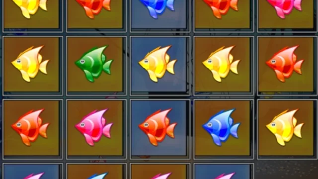 Tiny Fish Factory