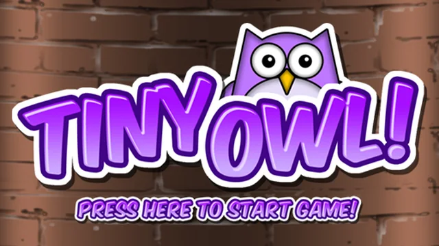 Tiny Owl