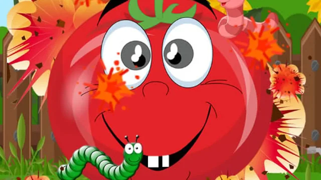 Tomato Explosion