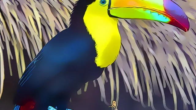 Toucan Bird Jigsaw game thumbnail