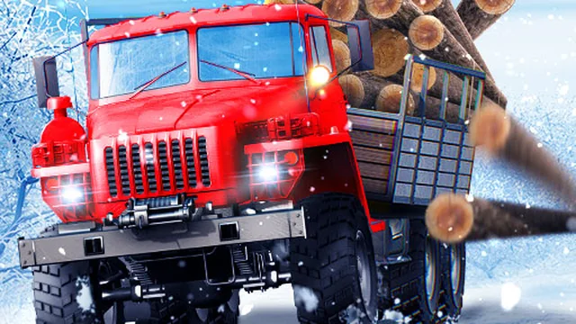 Truck Driver Snowy Roads