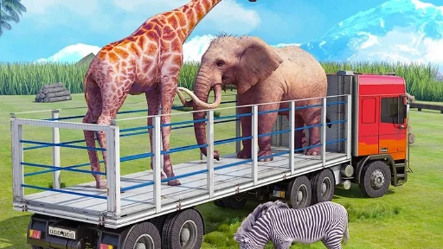 Truck Driving Animal Transport