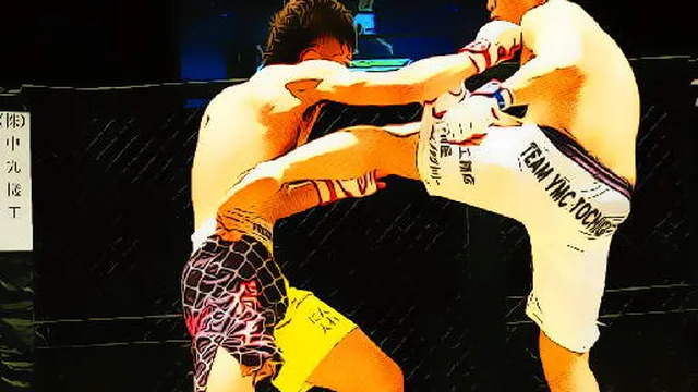 UFC Fighting Match Jigsaw game thumbnail