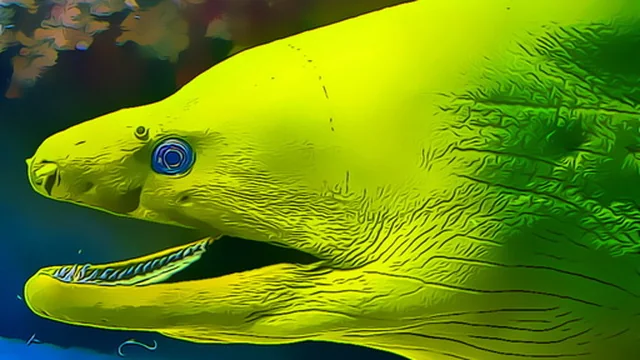 Underwater World Jigsaw game thumbnail