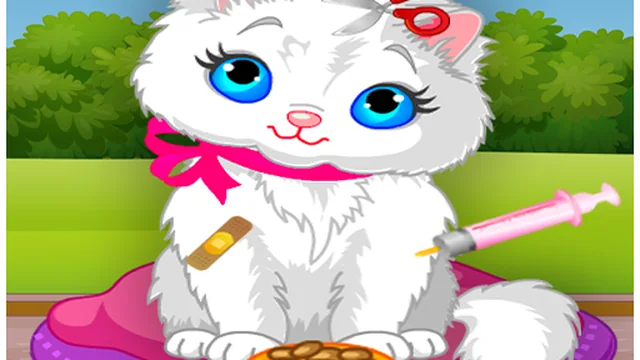 Vet Cat Clinic!!! Little Kitty Cat Hospital