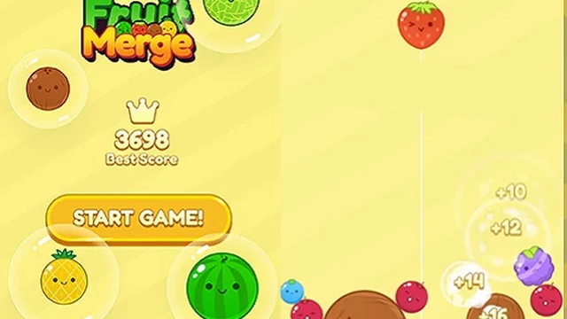 Watermelon Fruit 2048
